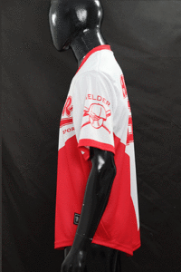 "Customizable baseball jersey 2025 with player name and number – perfect for leagues and school teams"

